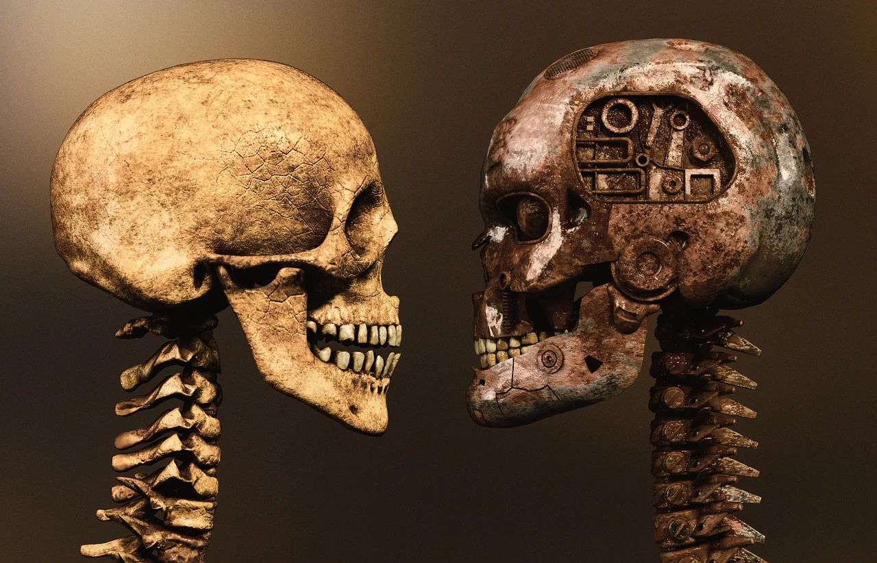 Discovery of Human Bones in a Family's Garden in Braunschweig!