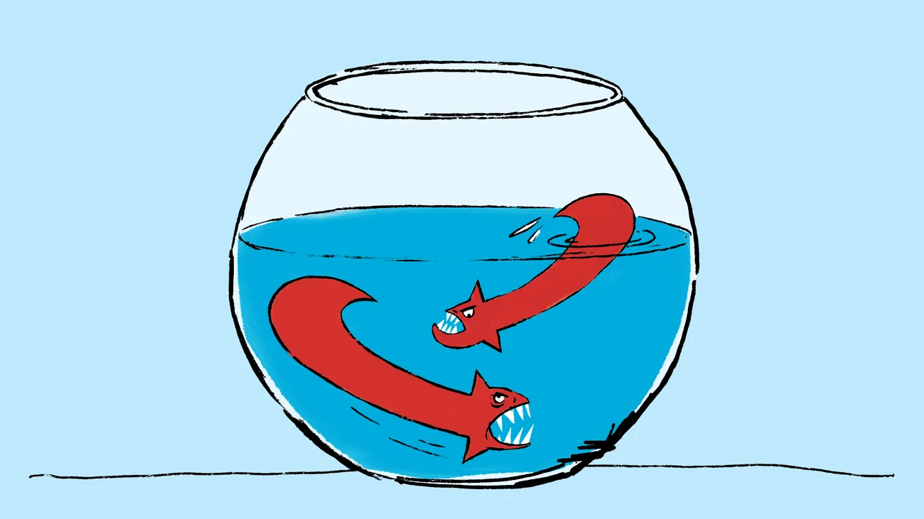 Rising Tensions in the AfD Party: Is It Time for Change?
