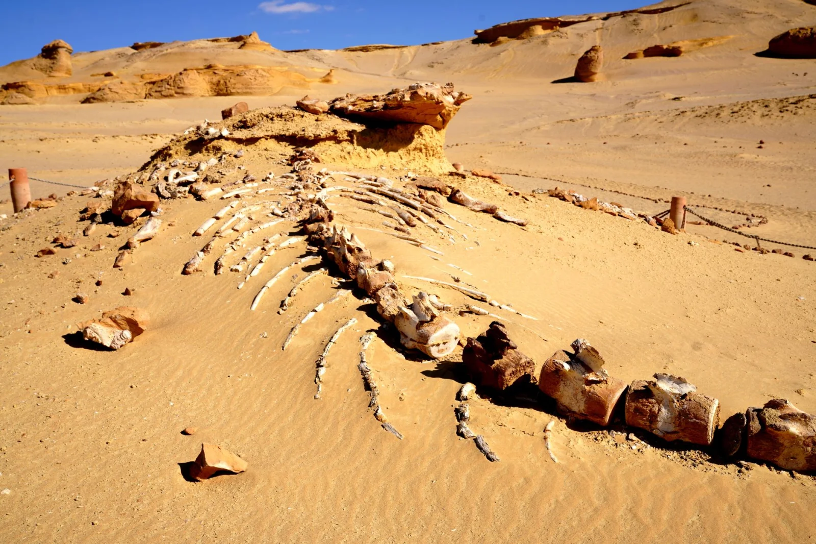 The Secret of Earth's Destruction 252 Million Years Ago Revealed