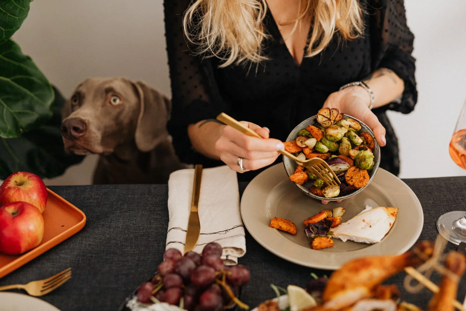 How can we provide our dogs with more calmness during feeding time?