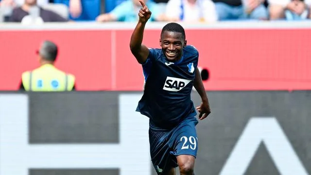 Controversial Transfer: Hoffenheim's Touré Moves Closer to Newcastle