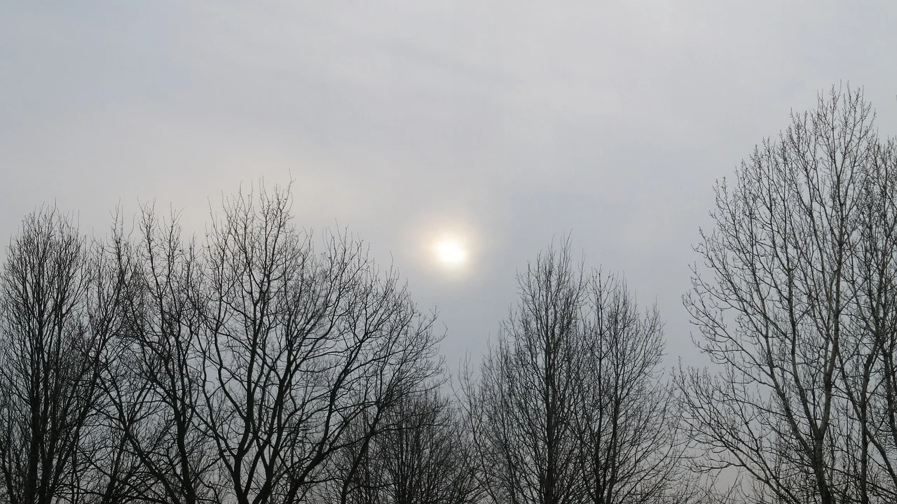 Meditation: Do You Recognize Yourself in the Mirror?