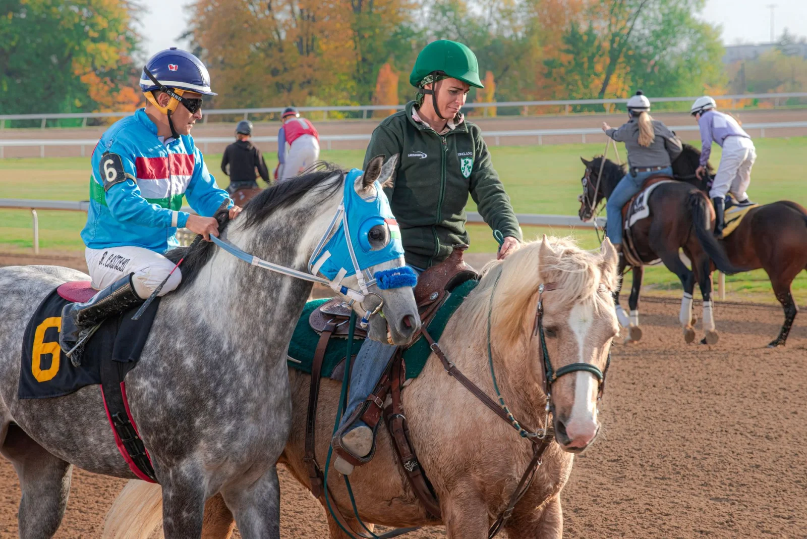 A New Drama in Horse Racing: Will a New Jacket Become Champion?