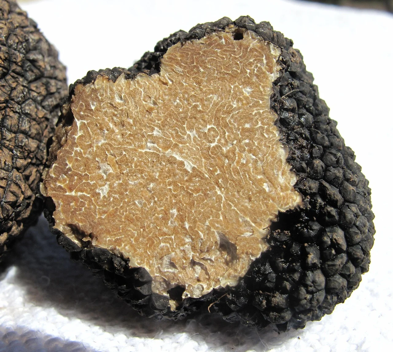 The Thriving of Truffle Mushrooms in Germany: Black Gold with Astronomical Prices