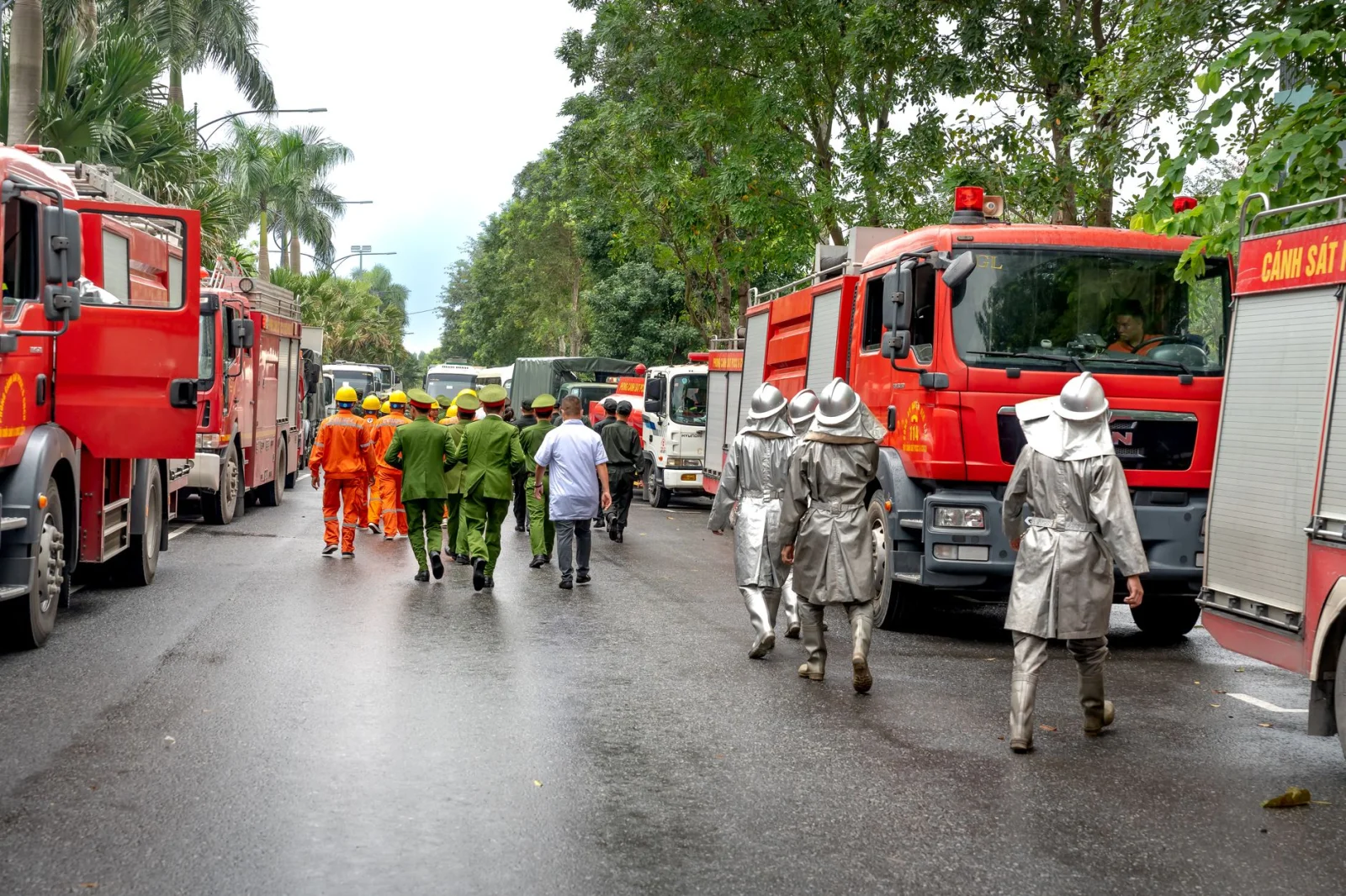 Deadly Fire at Poultry Farm: 16 Chickens Perished