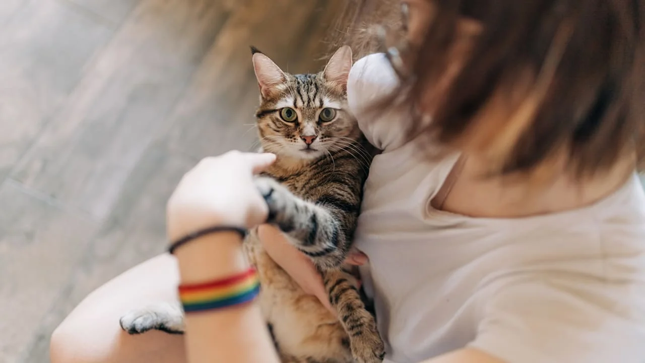 Why Do Cats Protect Their Paws So Well?