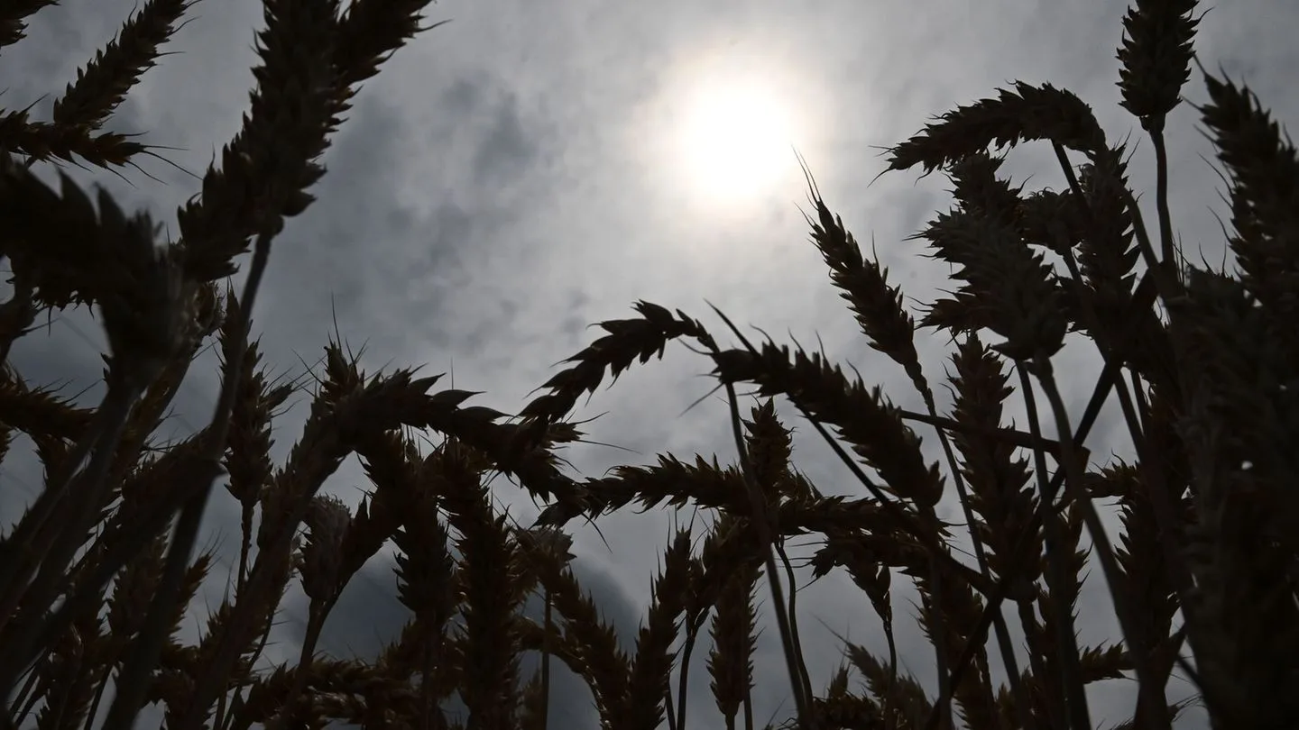 Temperature reaches 30 degrees; heat is coming back!