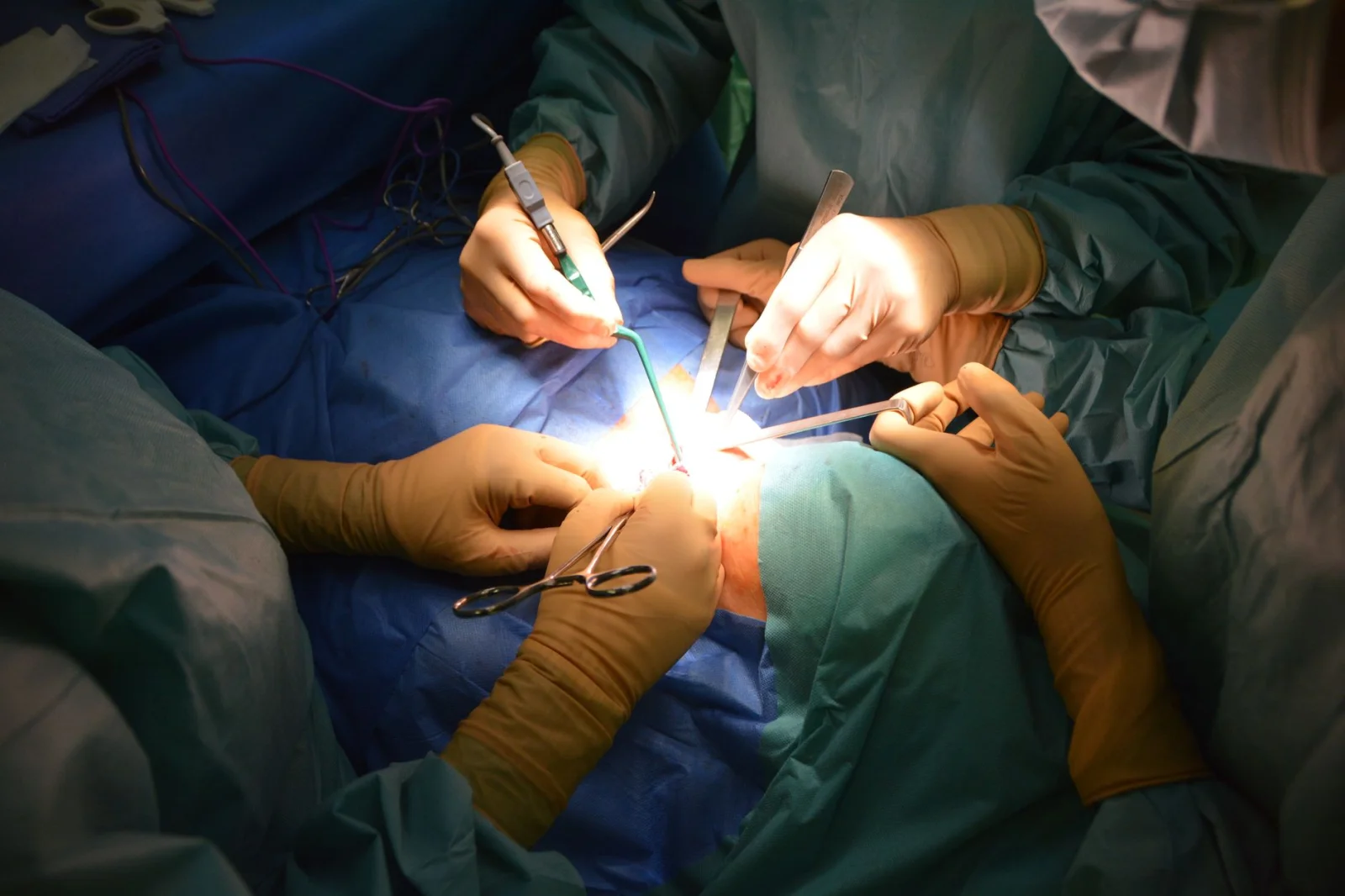 Women in Surgery: Courage and Skill in Masterful Hands