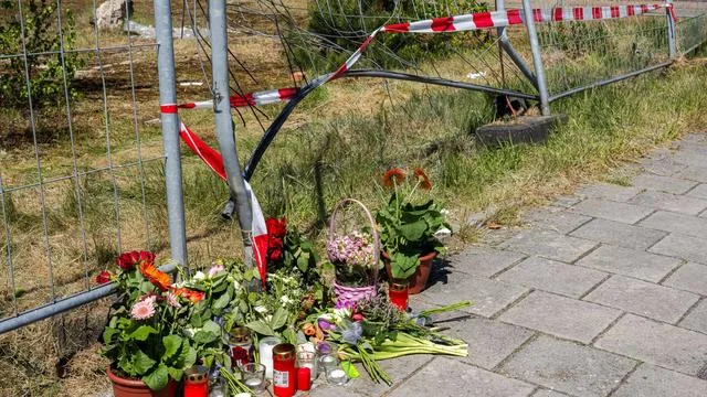 Man Who Attacked Woman with Car Sent to Prison