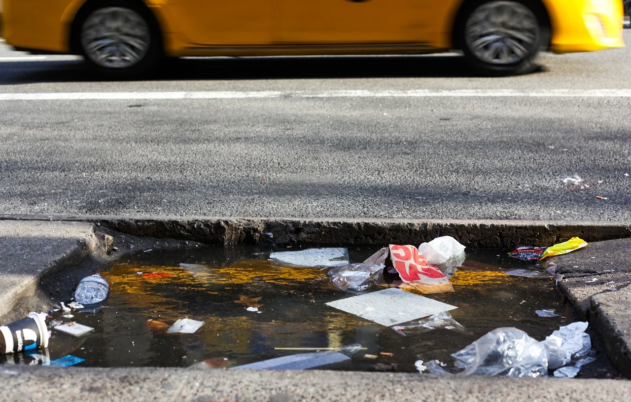 Taylor Swift's Wedding Trash: New York Artist Selling for $25!