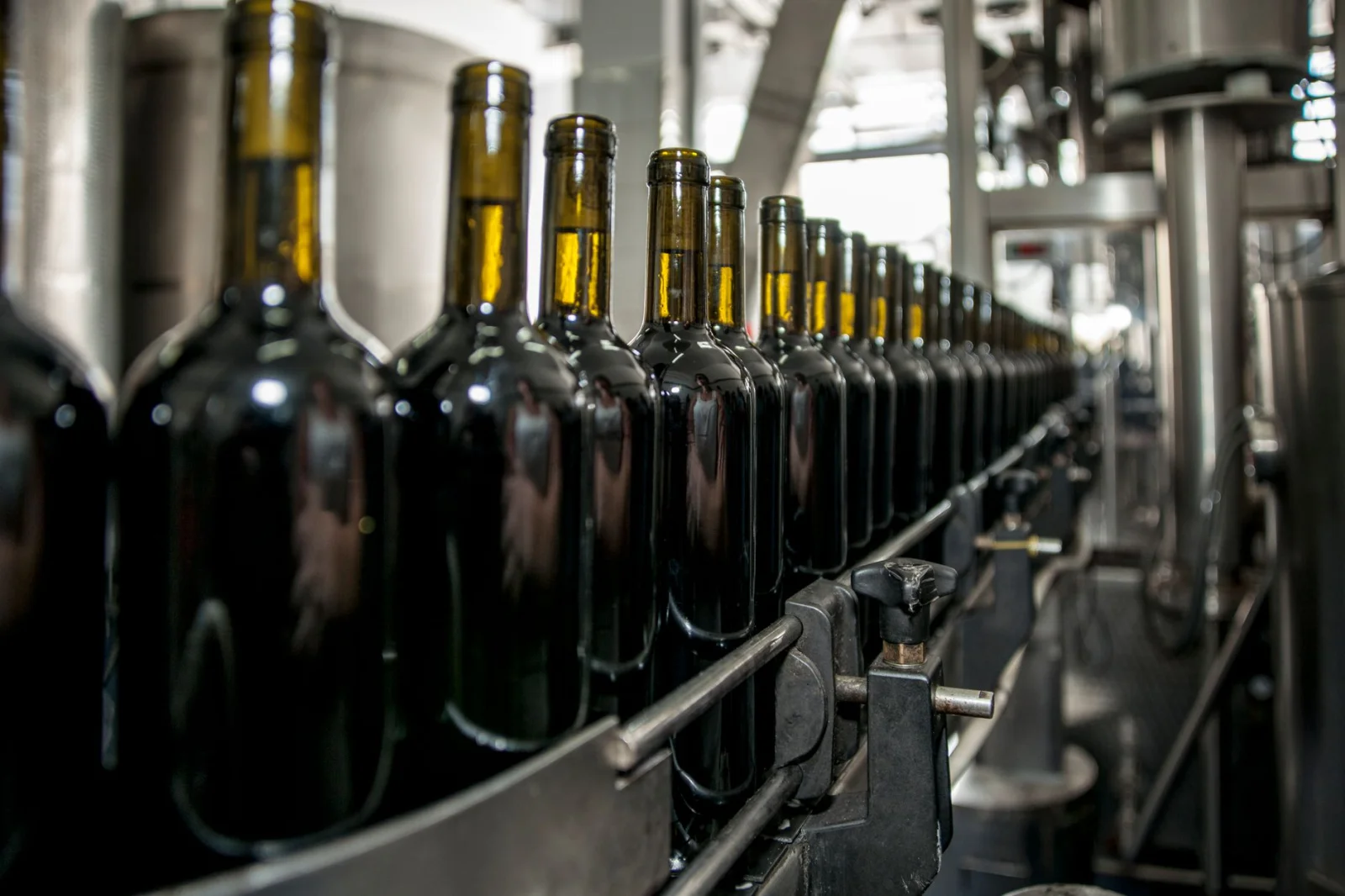 Major Collapse in the Wine World: A Famous Supplier Goes Bankrupt