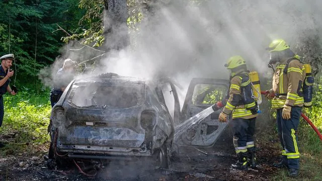 Fatal Accident: Car Crashes into Tree and Catches Fire