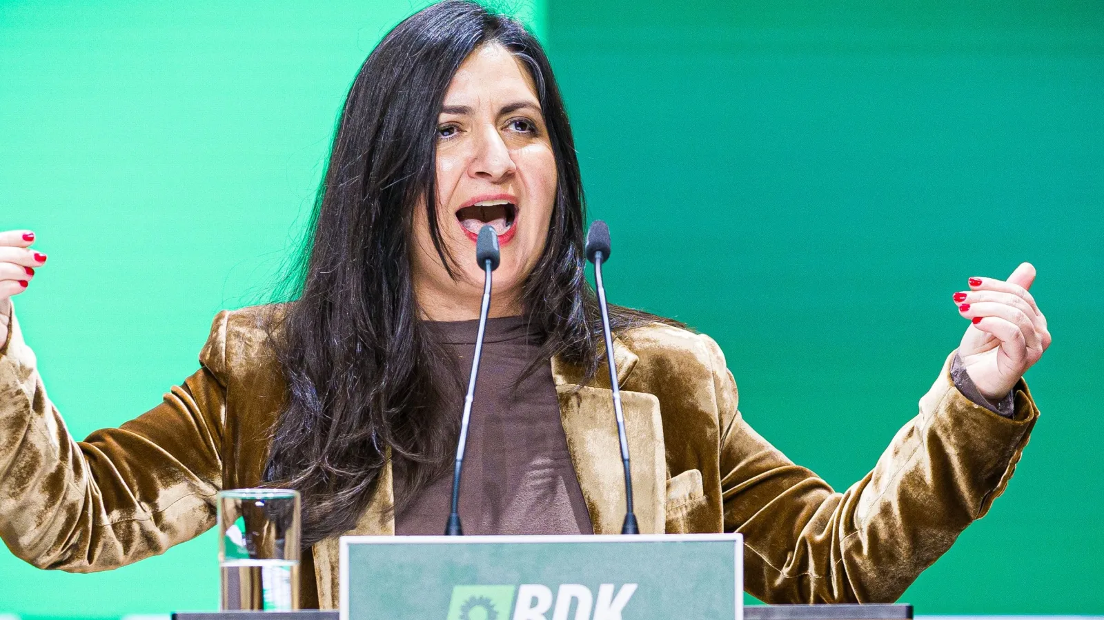Pegah Adalatkhah: The First Secretary-General of the Greens with a New Approach