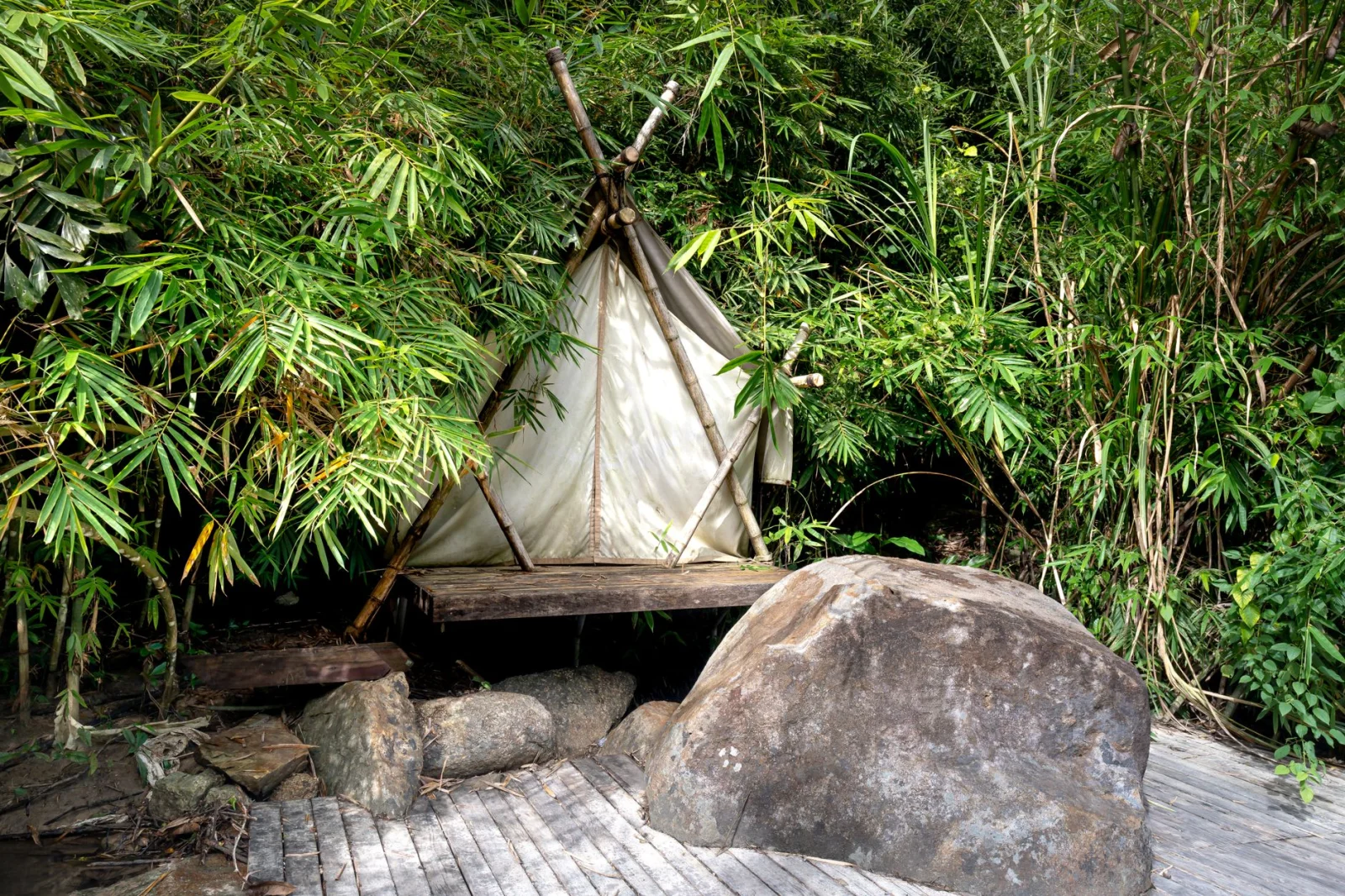 The Golden Age of Jungle Living: RTL Goes to the Jungle with Professional Thieves!