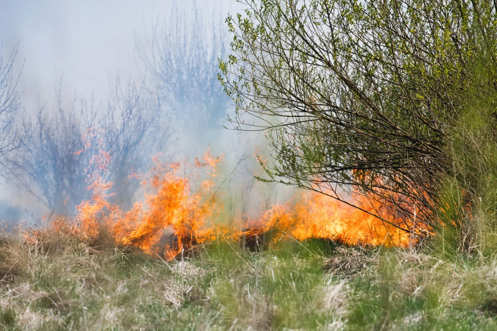 Extensive Fire in Rheinstein: 20,000 Square Meters Burned!