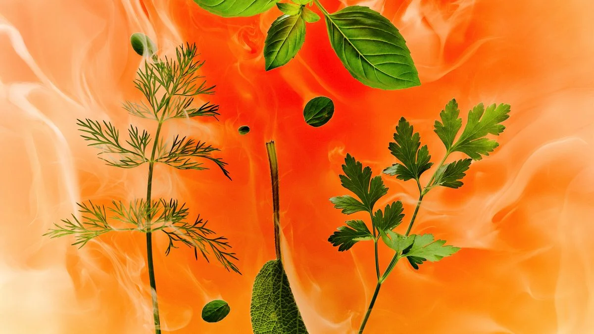 The Amazing Secrets of Aromatic Herbs: Get the Best Flavor with These Tricks!