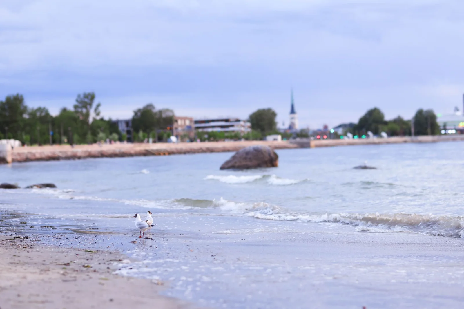 Environmental Crisis in the Baltic Sea: The Minister of Environment Steps In