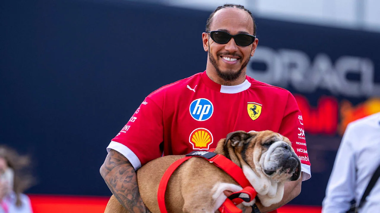 A New Era of Formula One: Races Without Roscoe and the Usual Funny Jokes