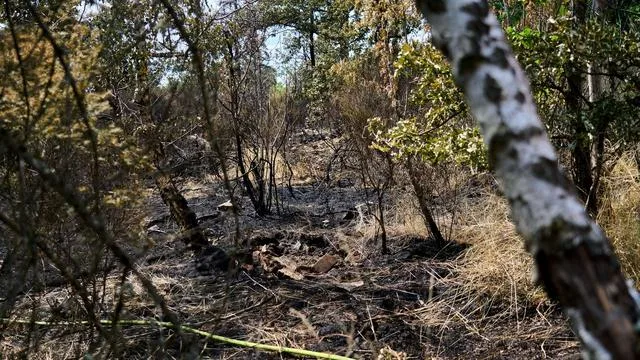 Wildfires: Rescue Operations on the Brink of Conclusion