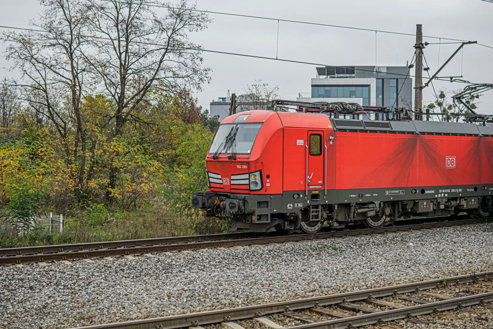 Horrific Train Accident in Bavaria: Collision with Tree Threatened Lives