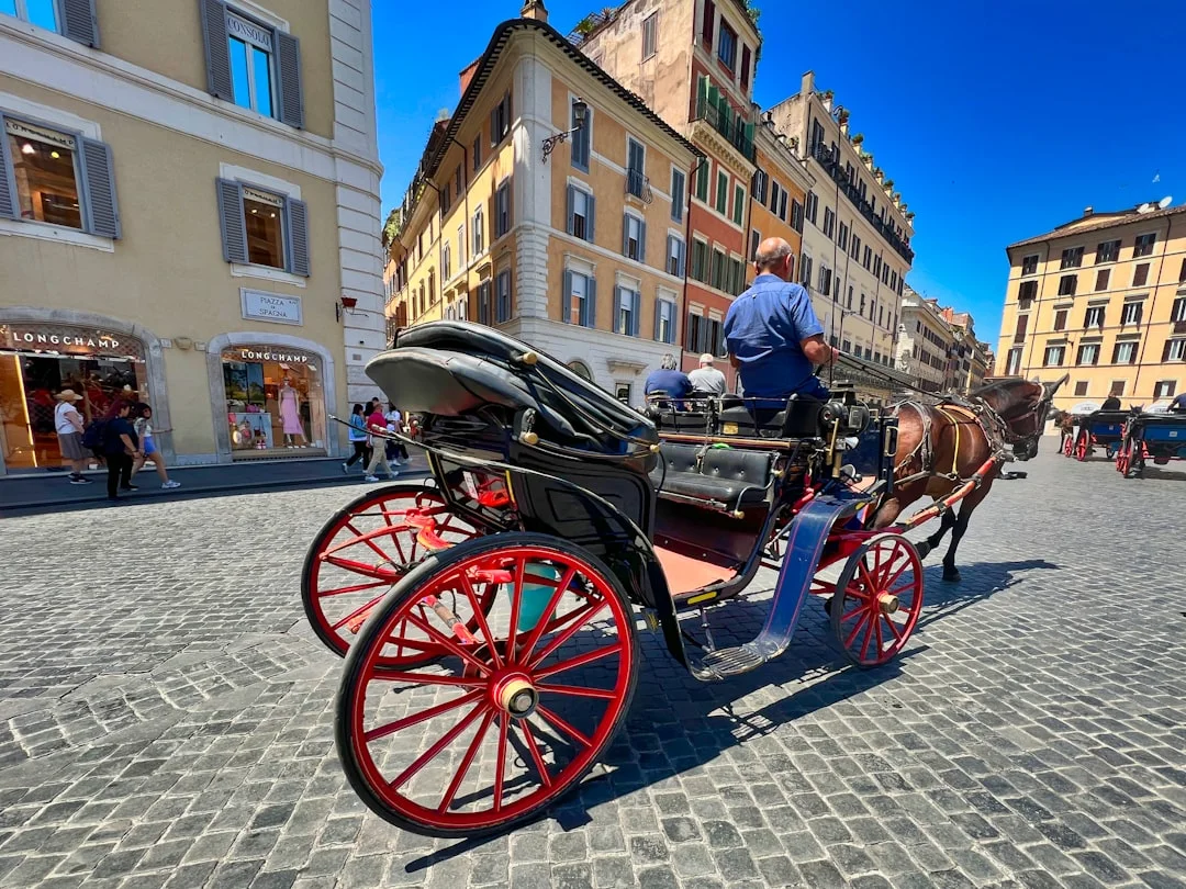 Mysterious Horse Fall in Rome; Where is the Alarm for Tourism?