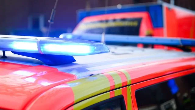 Fatal Accident on Road 284: Car Crashed into a Tree
