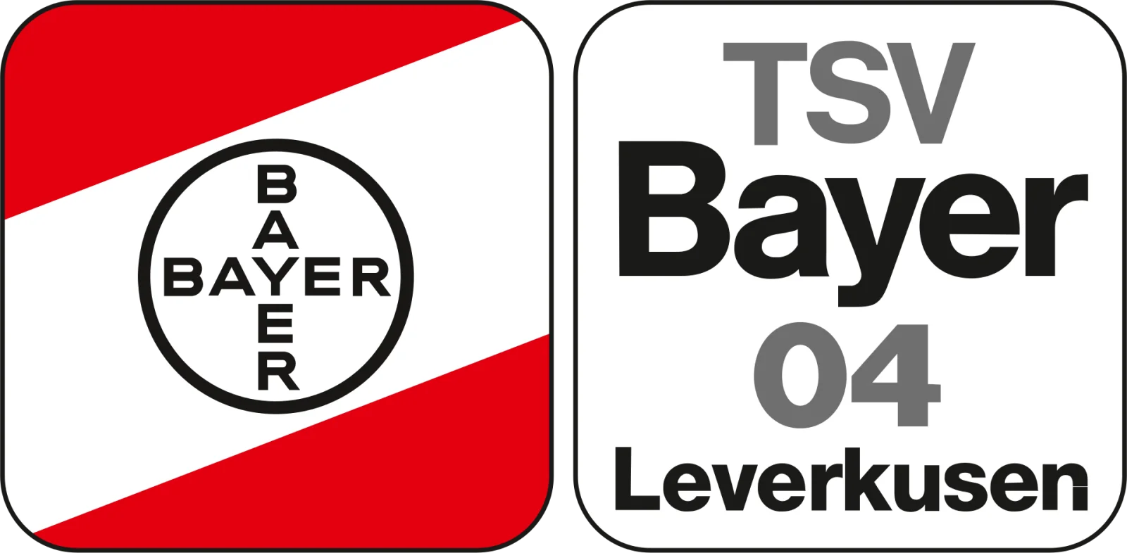 Early Sale Rumor of Fernandez: Bayer Leverkusen in the Spotlight