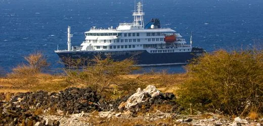 The End of the Hantavirus Nightmare on the Cruise Ship