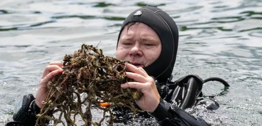 Minister of Environment in Polluted Waters; Is This a Stunt?