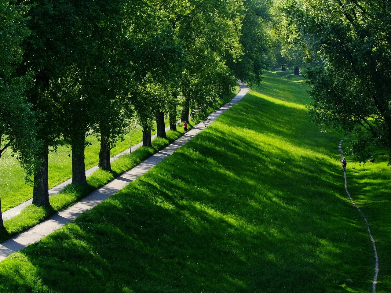 The Miracle of Nature in the Heart of Former Borders: Germany's New Green Belt