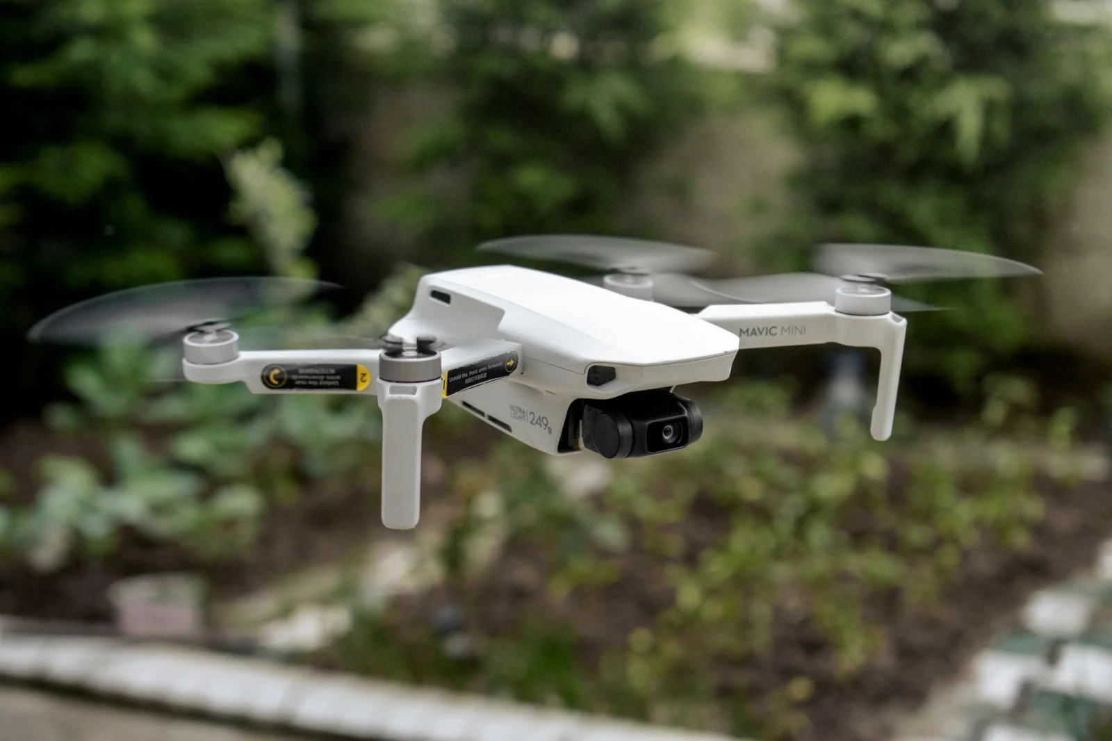 Air Rights: Do You Have a Claim to the Sky Above Your Garden?