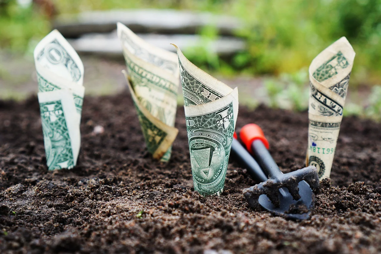 The Big Game of Banks with Attractive Deposit Rates