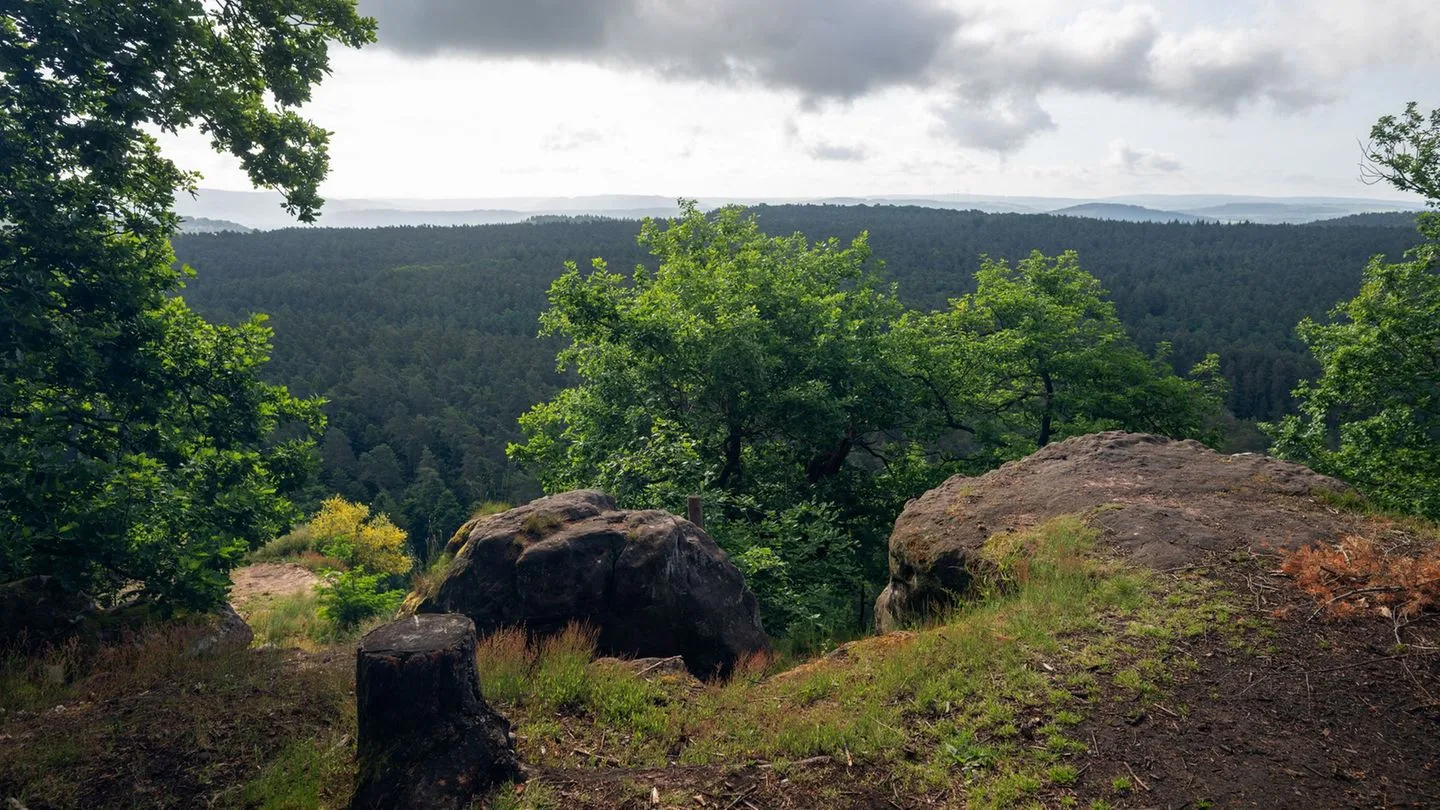 Is Summer Rain on the Way?