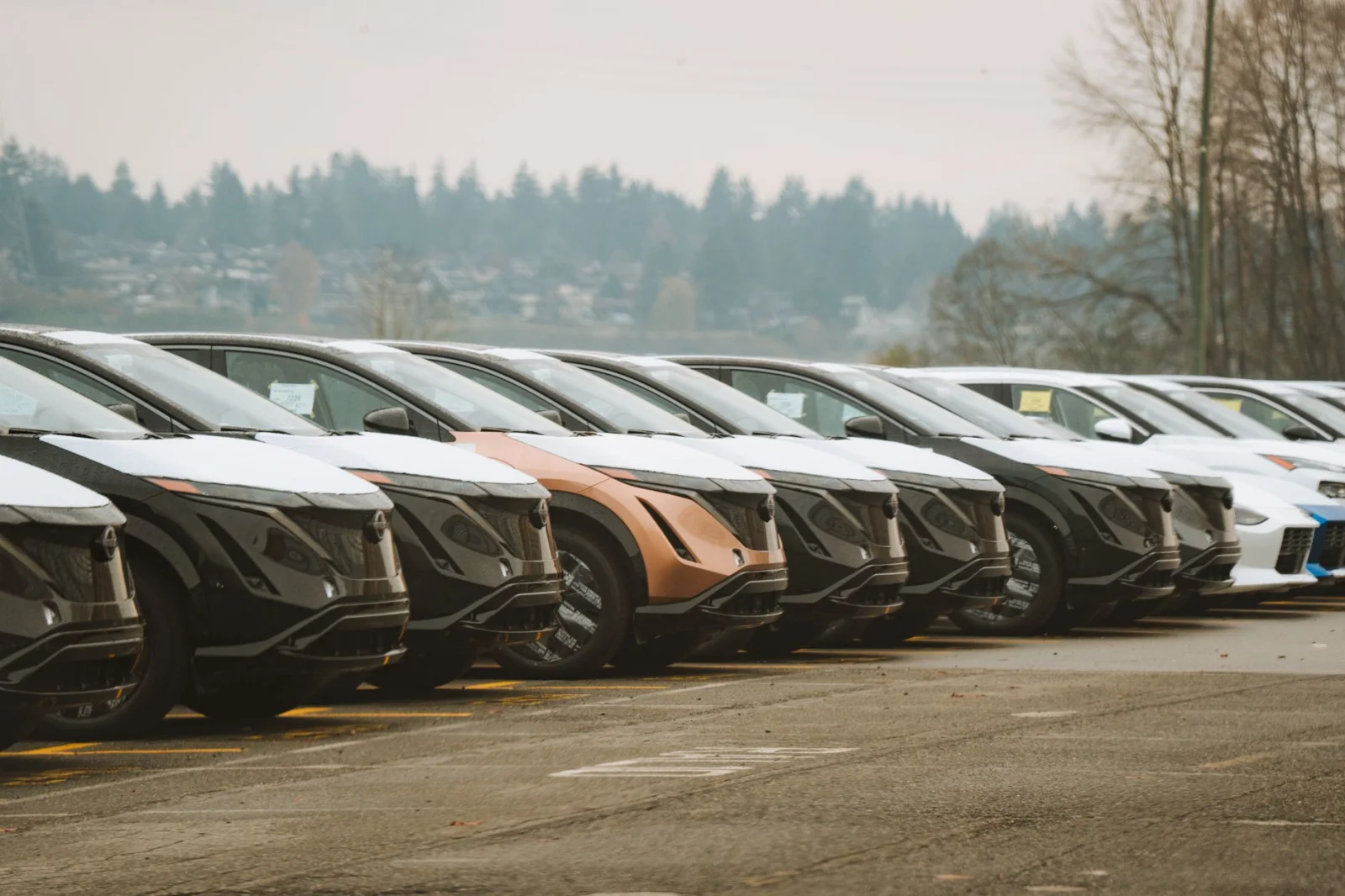 Chinese in the German Car Market: Dominance Over the Electric Future
