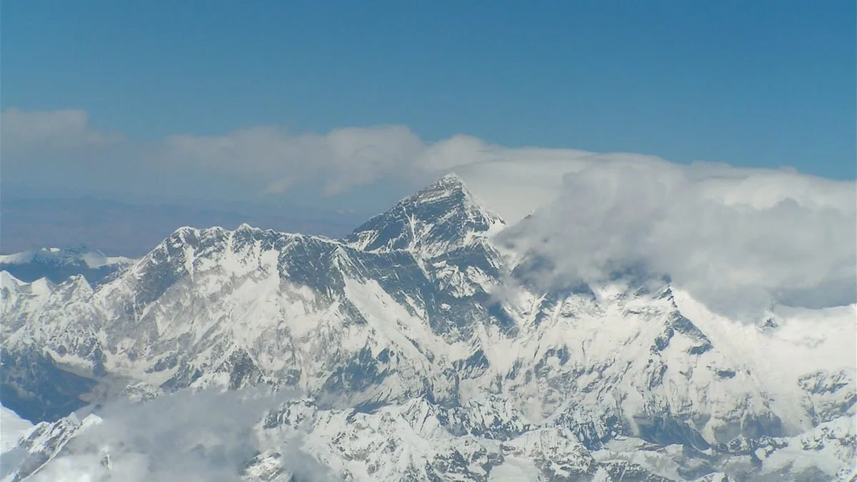 Danger at the Summit: Snake Bites in the Clouds