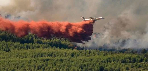 Devastating Fires in Southern France: A War Against the Flames