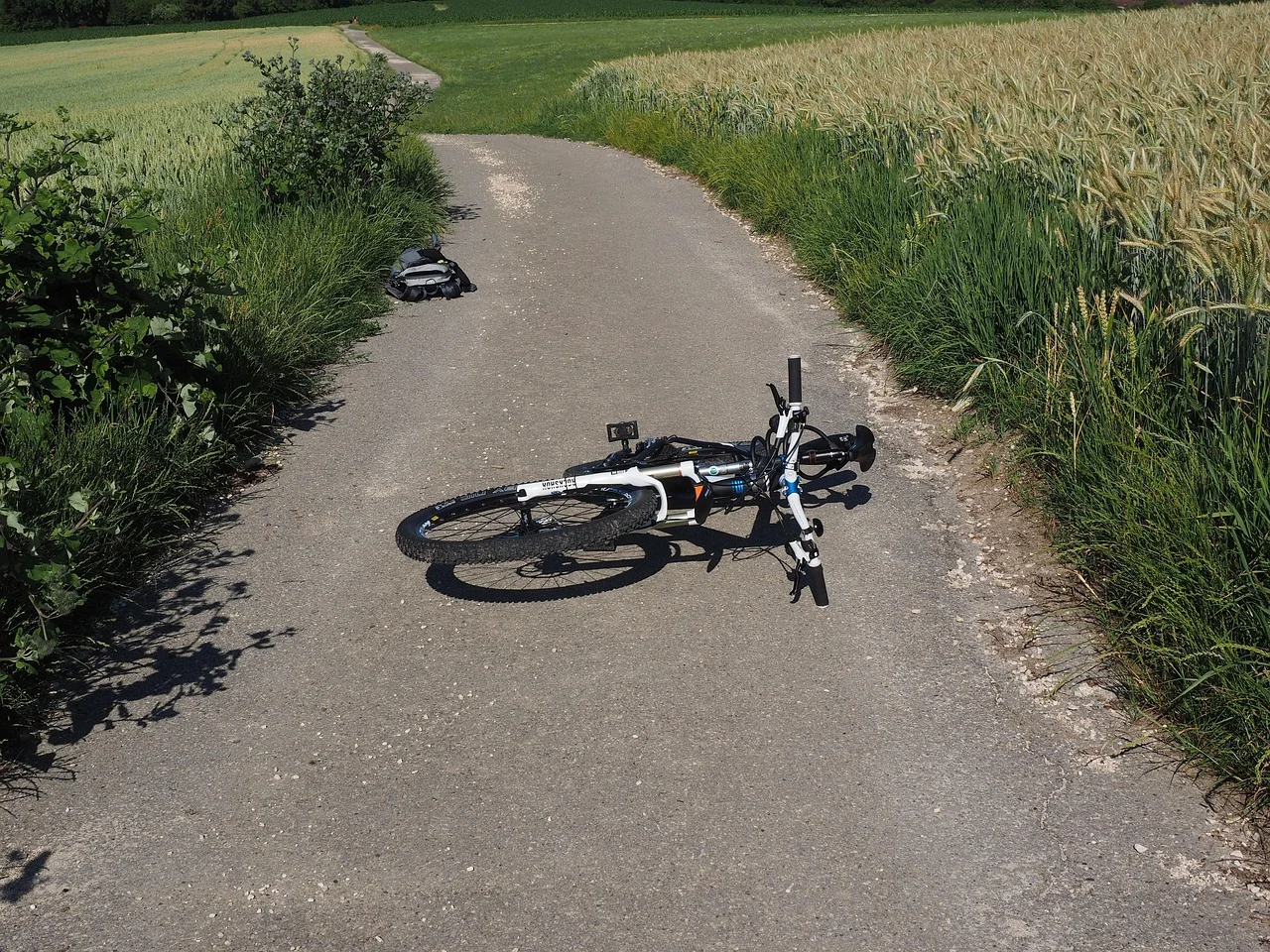 Tiger Play on the Road: Accident of Two Cyclists Due to a Beaver!