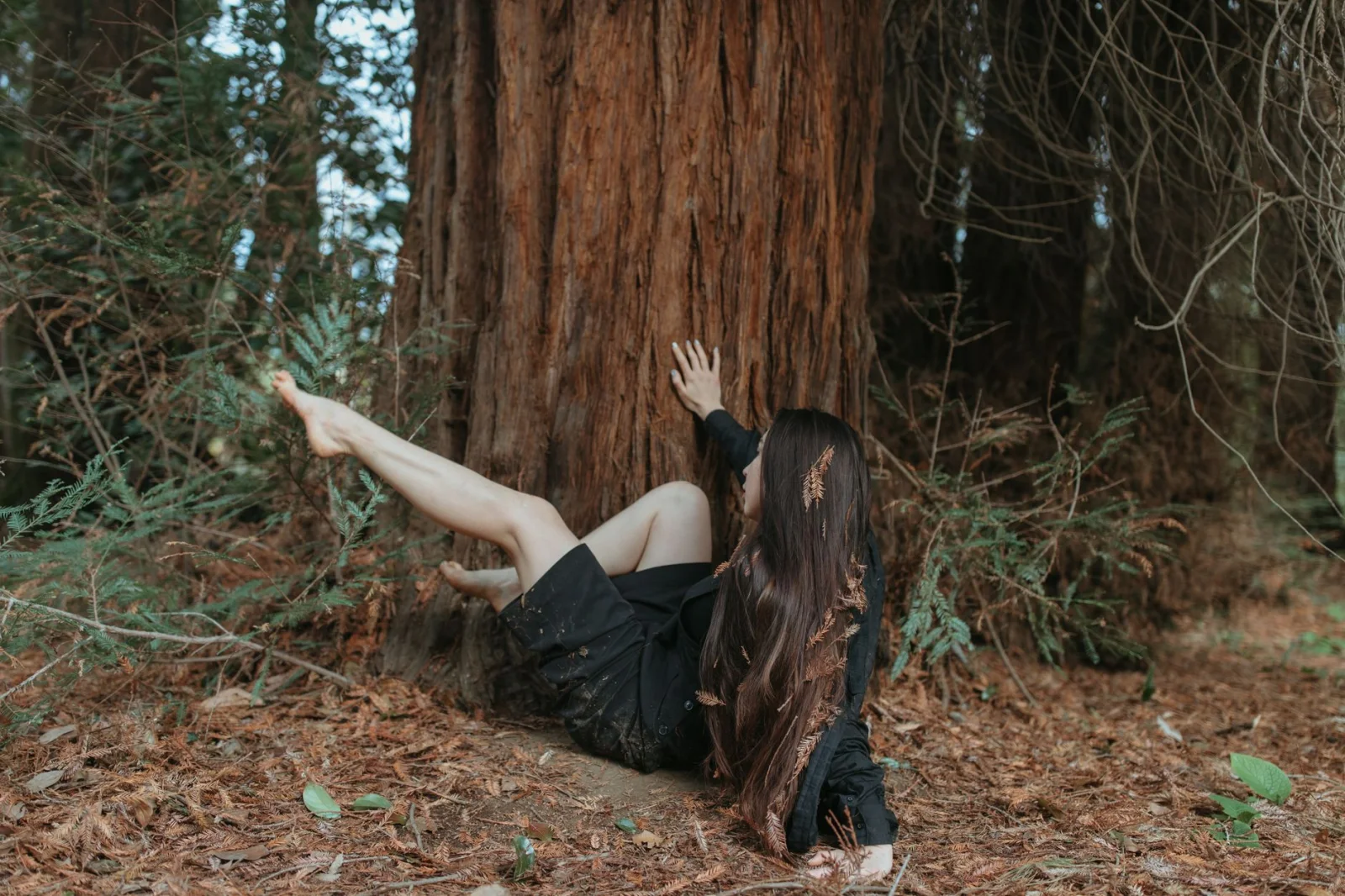The Tree That Saved a Woman's Life; A Dangerous Fall from 70 Meters