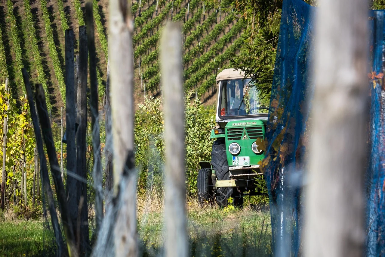 Critical Situation for Farmers: Salvation for Winemakers at Risk