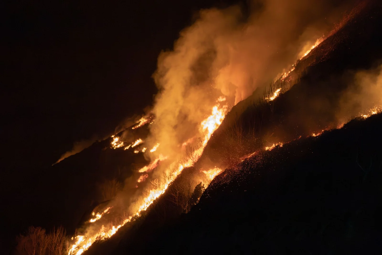 Massive Fires in Pyrénées; 12,000 People Forced to Evacuate