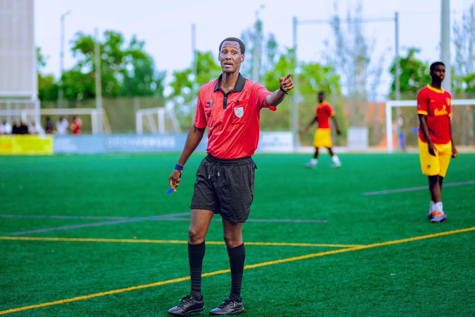 The Amazing Rise of the Danube Referees: A New Season in German Football