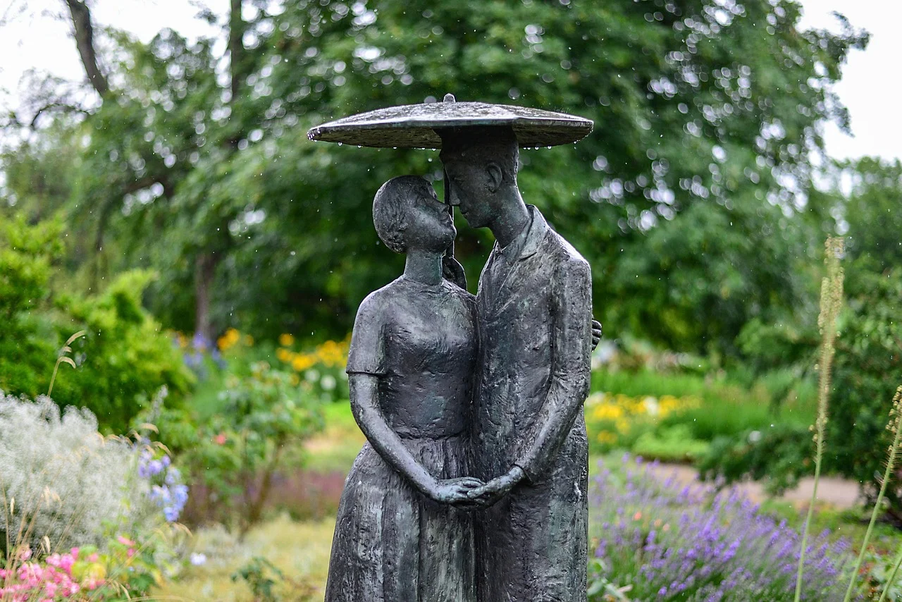 How to Protect Your Garden from Heavy Rain?