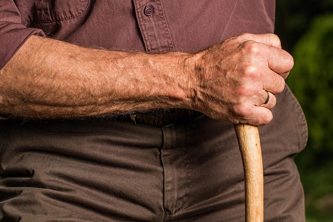 The Uneven Trend of Pension Increases in Germany