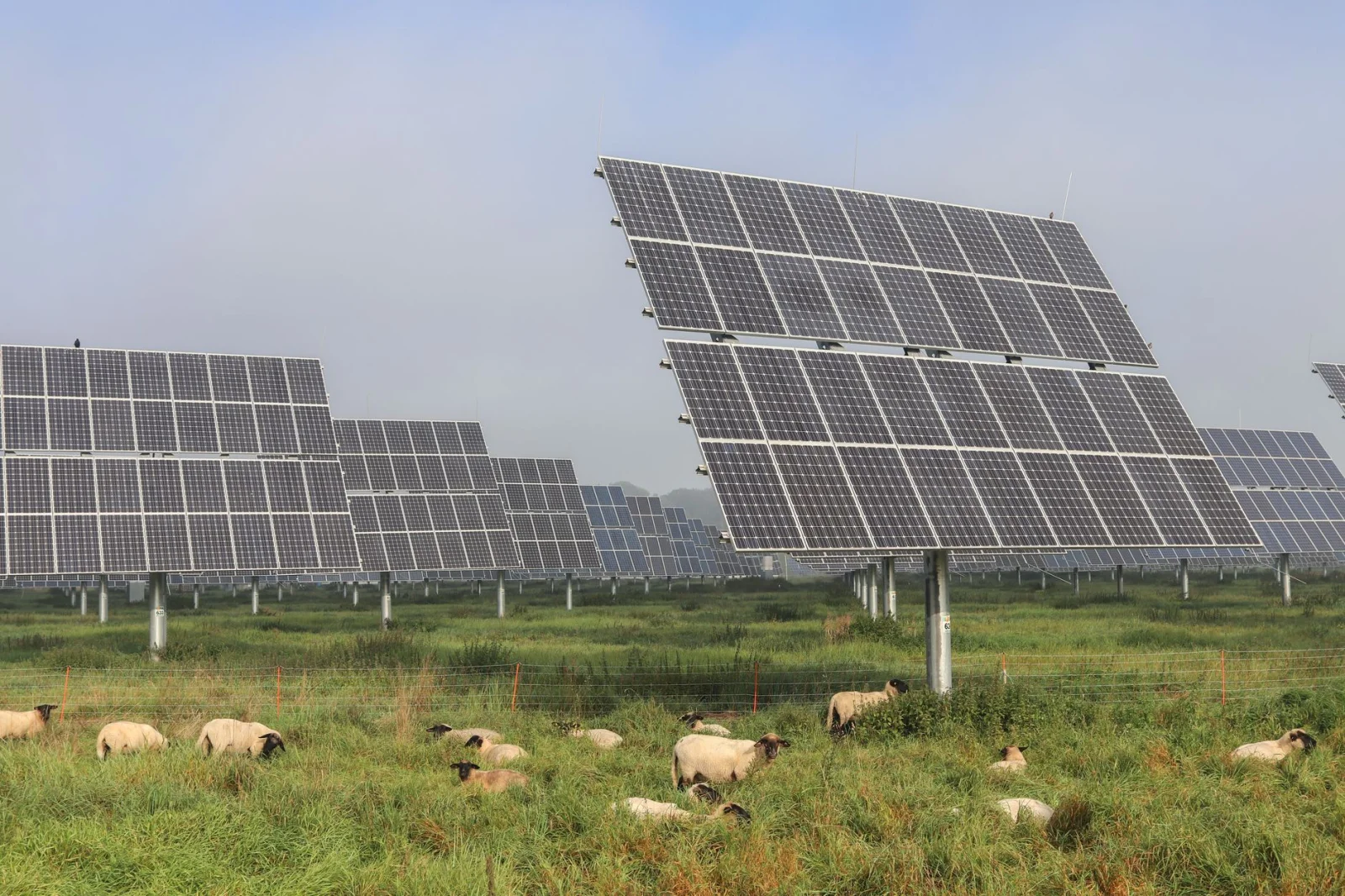 Controversial Changes to Germany's Solar Energy Law