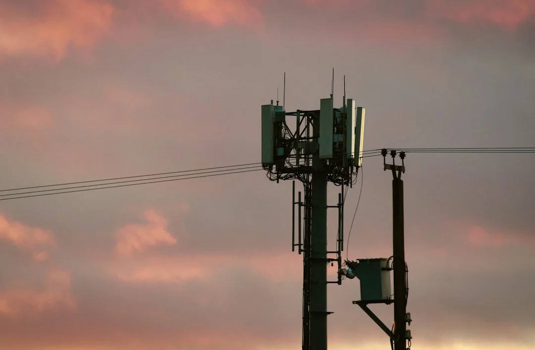 Warning: Unauthorized Access to Mobile Networks at Borders