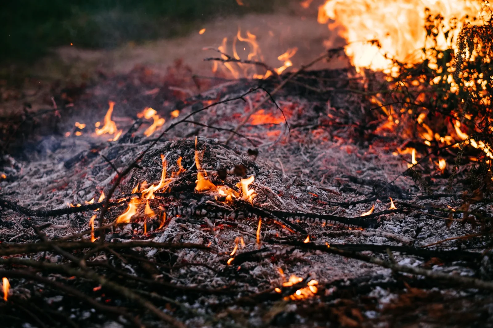 Mysterious Fire in a Garden in Puchheim