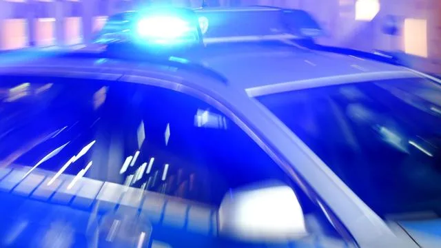 Shooting in Hamburg Park: Two Arrested