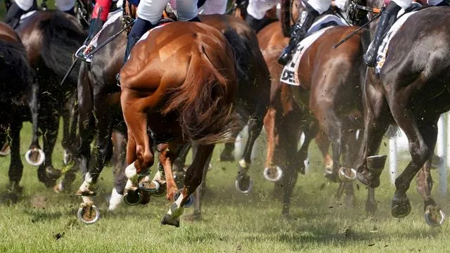 Great Victory: Segorui Shines in Hamburg Horse Racing