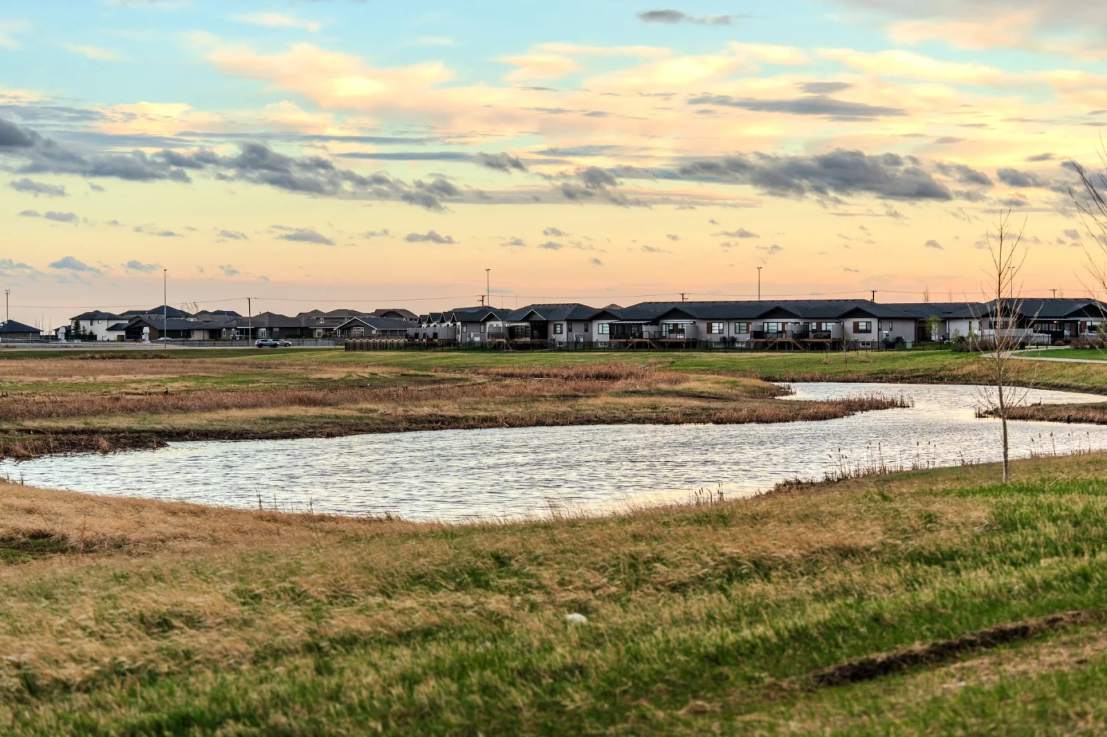 A Bright Future: 24 New Housing Units Next to the Forest