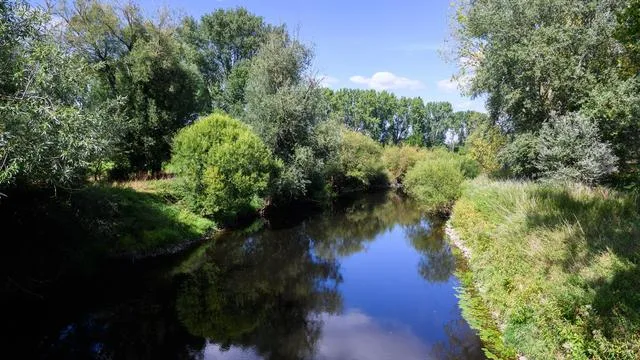 Dangerous Waters in Neydarz: Take Your Safety Seriously!